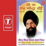 Mere Mann Naam Amrit Peeo (Vol. 4) - Bhai Satinder Pal Singh Ji-Akhand Kirtani Jatha Song Download